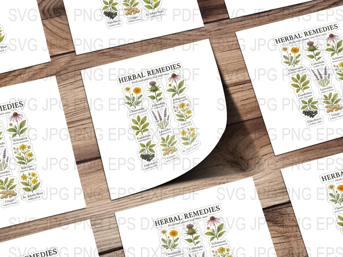 Herbal Remedies Botanical Print, Vintage Style Medicinal Plant Art, Kitchen Decor, Gardening Enthusiast Gift, Educational Poster