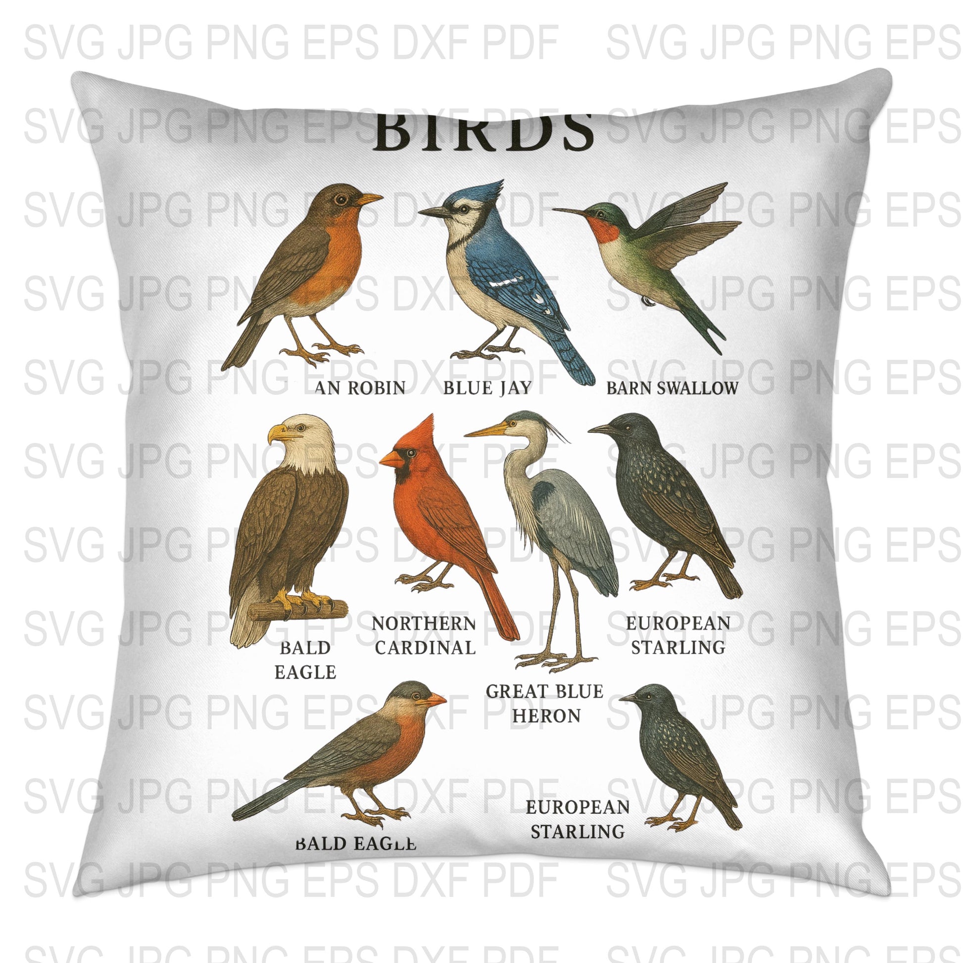 Vintage Bird Illustration Pillow Cover, Decorative Throw Pillow, Wildlife Art, Nature Home Decor, Birdwatcher Gift Idea