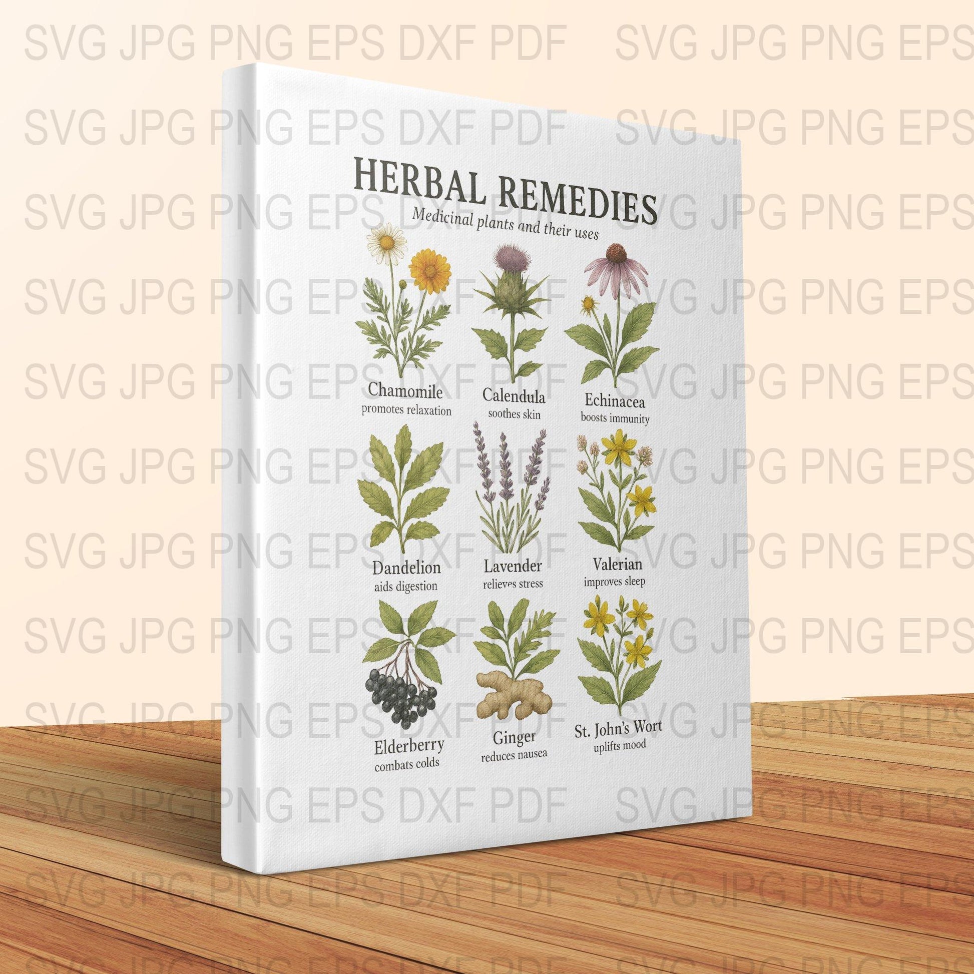 Herbal Remedies Chart Canvas Print, Medicinal Plants Art, Botanical Kitchen Decor, Educational Wall Hanging, Gift for Gardeners