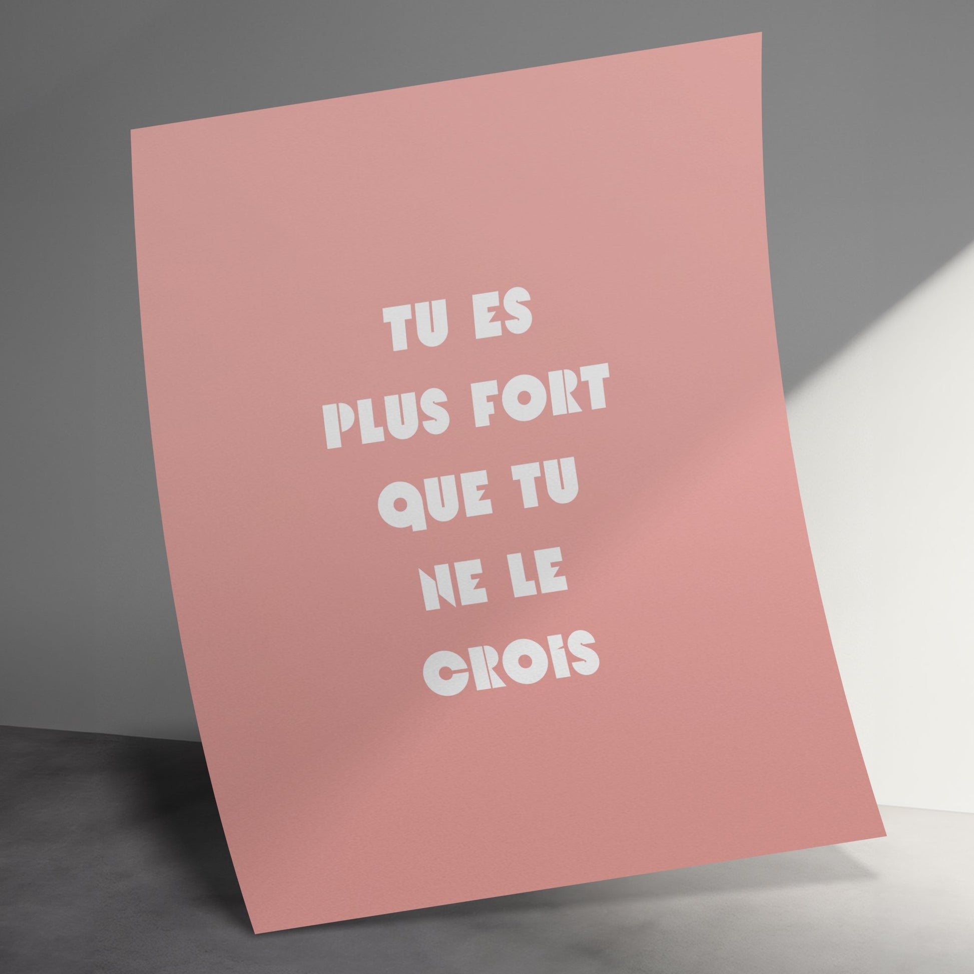 Inspirational French Quote Poster, Pink Wall Art, Modern Home Decor, Office Motivational Print, Unique Typography Design