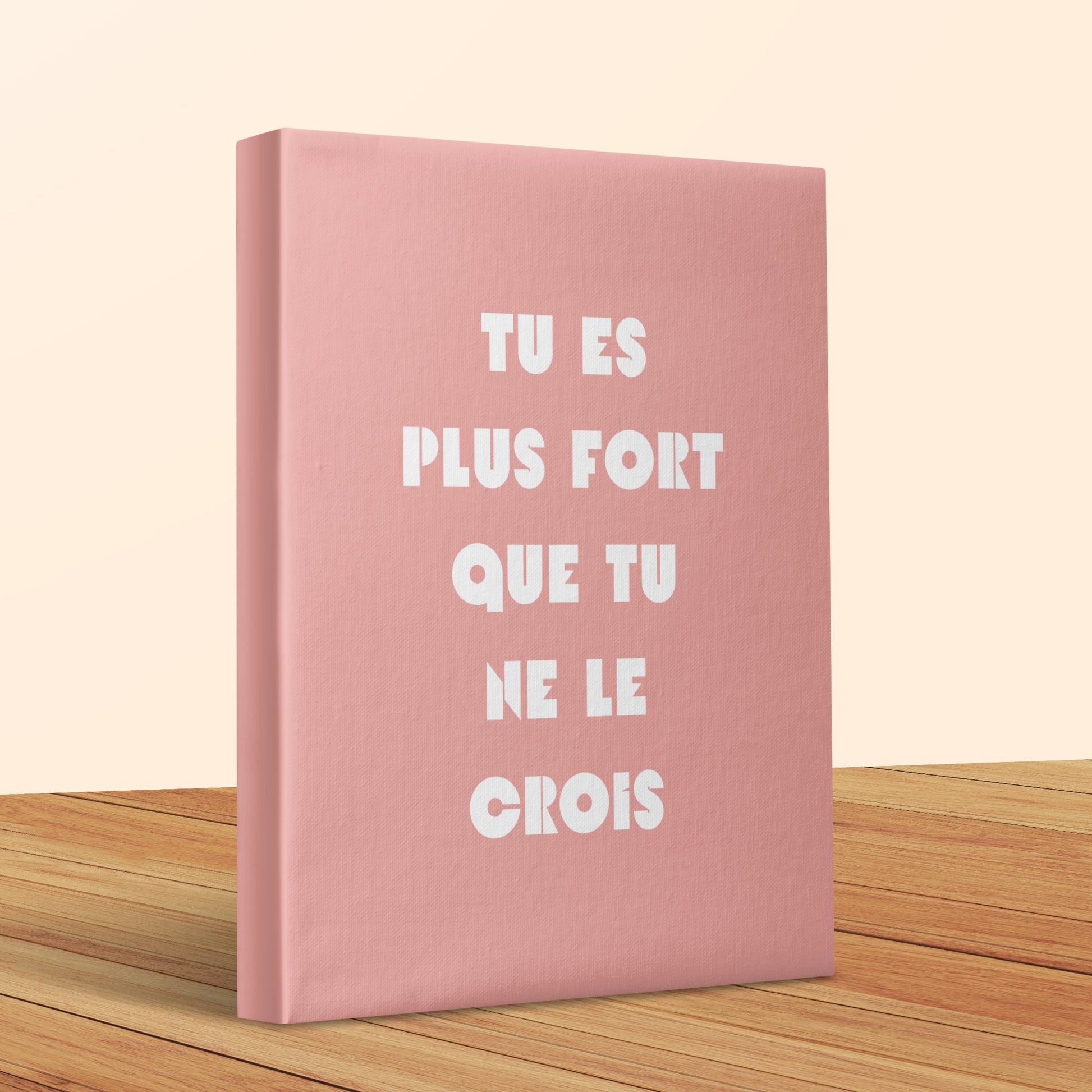 Inspirational French Quote Canvas Art - Pink Wall Decor - Motivational Home Office Gift