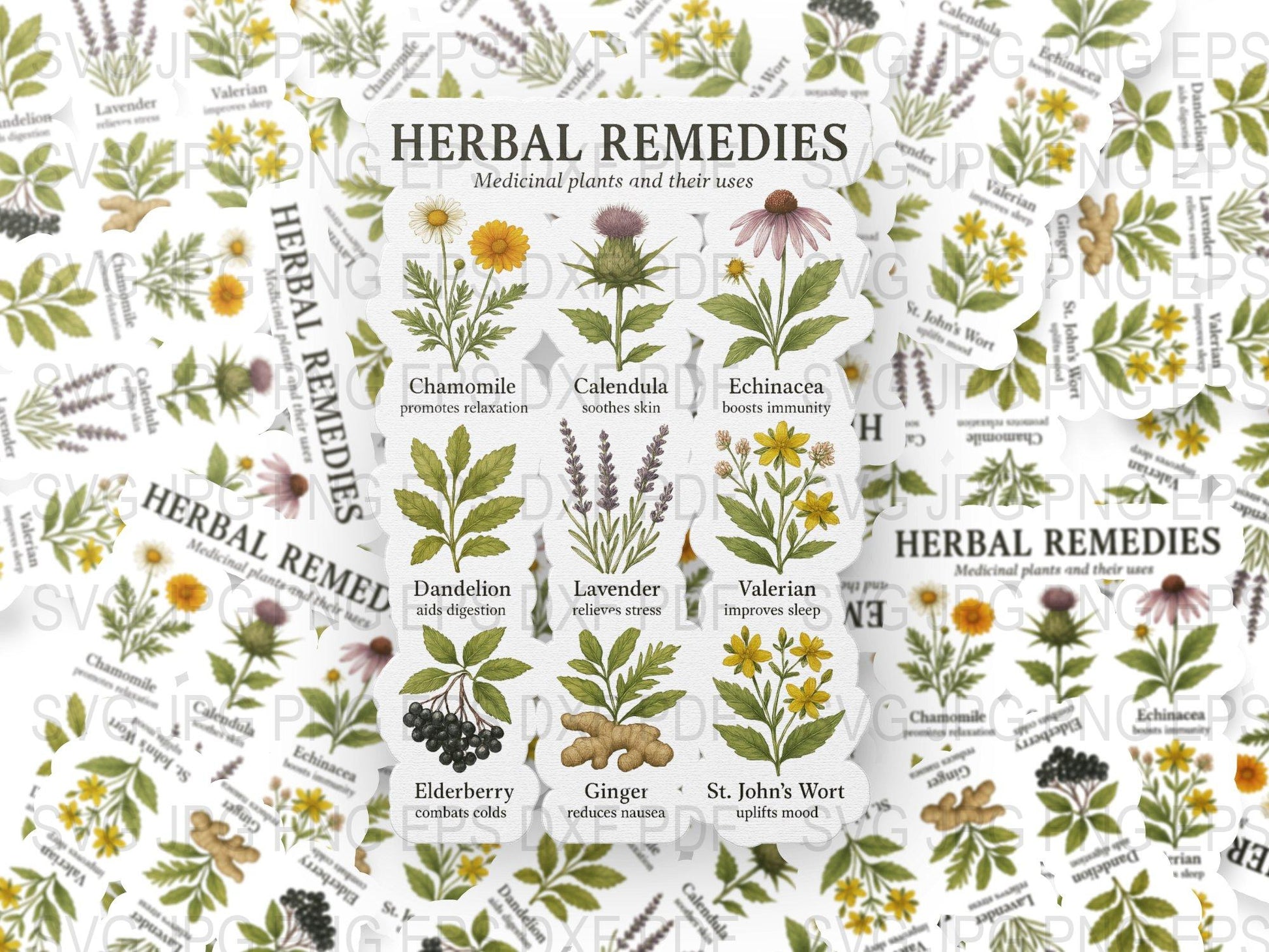 Herbal Remedies Poster, Medicinal Plants and Their Uses, Botanical Wall Art, Educational Print, Home Decor, Nature Illustration, Gift Idea
