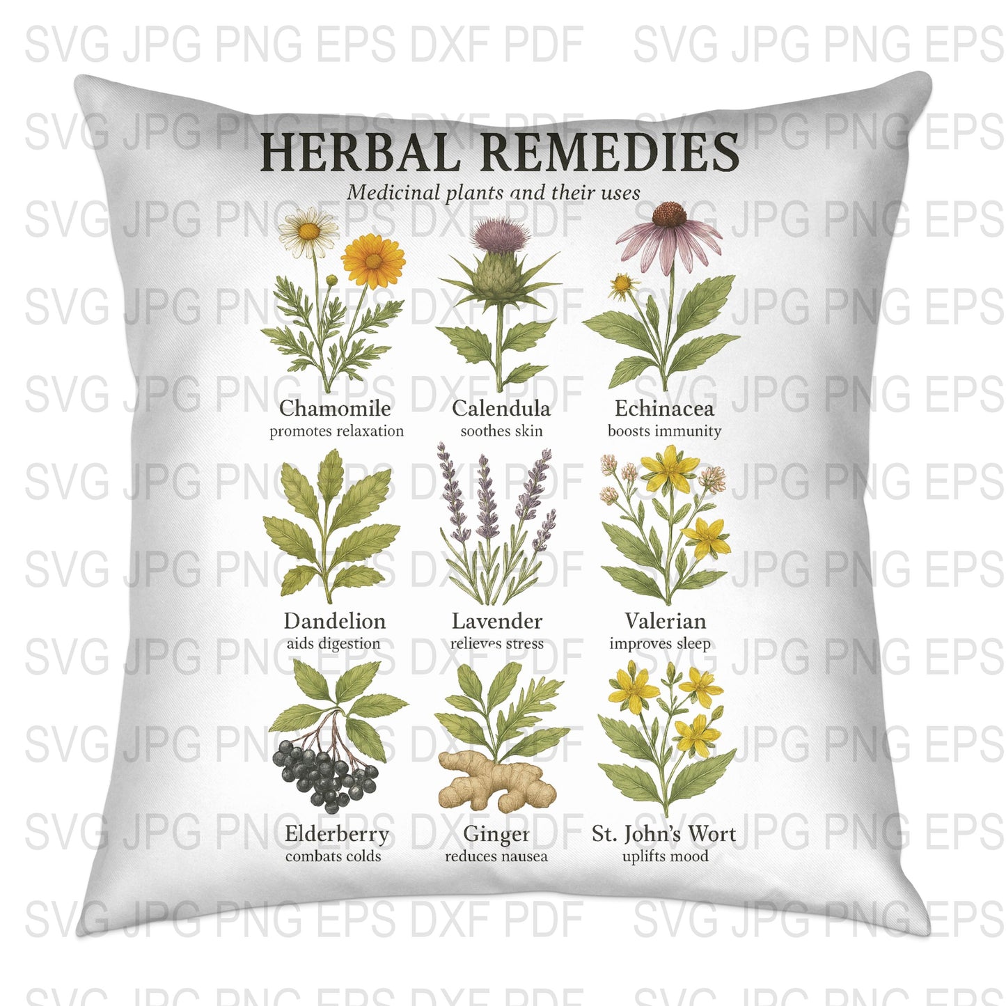 Herbal Pillow Cover, Medicinal Plants Design, Chamomile Lavender Echinacea, Home Decor